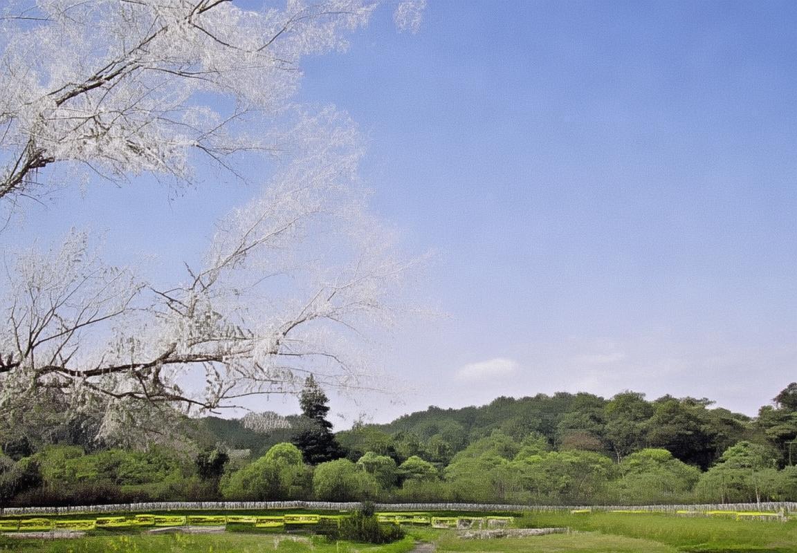 菲尔·福登崛起之路：曼城青训体系下的年轻球员潜力解析